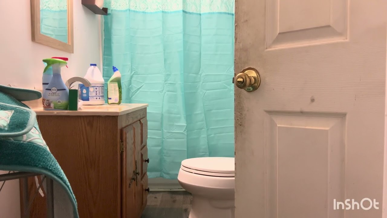 Bathroom Reset Day