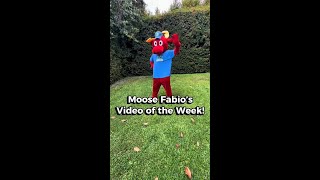 Camp GoNoodle: STEM Pick of the Week @GoNoodle