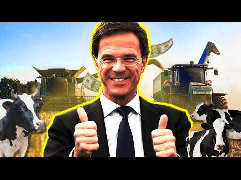 How Netherlands Got Insanely Good At Farming