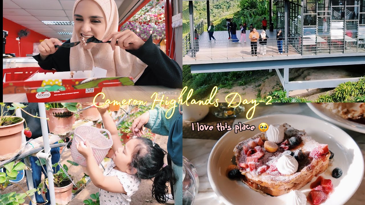 Aktiviti wajib bila datang Cameron Highlands ✨