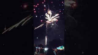 Waco Wonderland Christmas Tree Lighting & Fireworks 2021