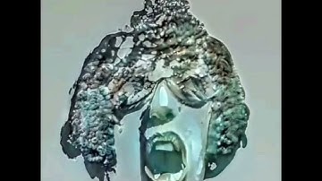 Everywhere At The End Of Time With Voices - M1- Synapse Retrogenesis