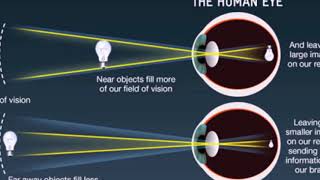 20181104 Angular Resolution, Visual Acuity and Refraction by Curious Life