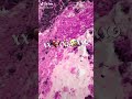 روحها جميله بصراحه تتحب روحها جميله بصراحه تتحب
