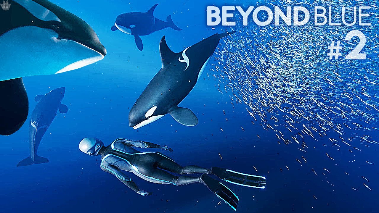 I FOUND THE BEAUTIFUL ORCA WHALES! Beyond Blue Part 2 YouTube
