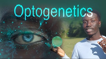 Lights, Camera, Optogenetics!