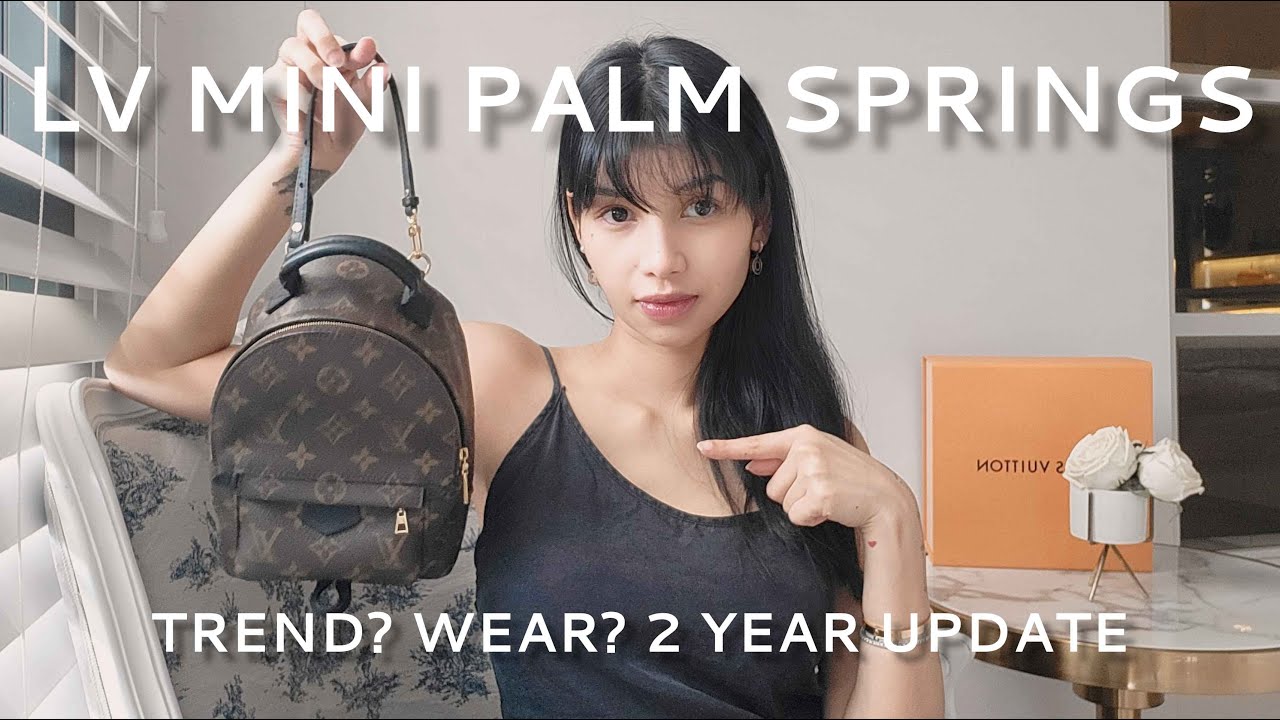LV Mini Palm Springs Review, What fits in my bag
