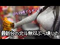 神台確定‼️【P真・北斗無双第4章下克上闘】新台初日にやりたい放題した結果!!!【ゆいの不真面目日記380】