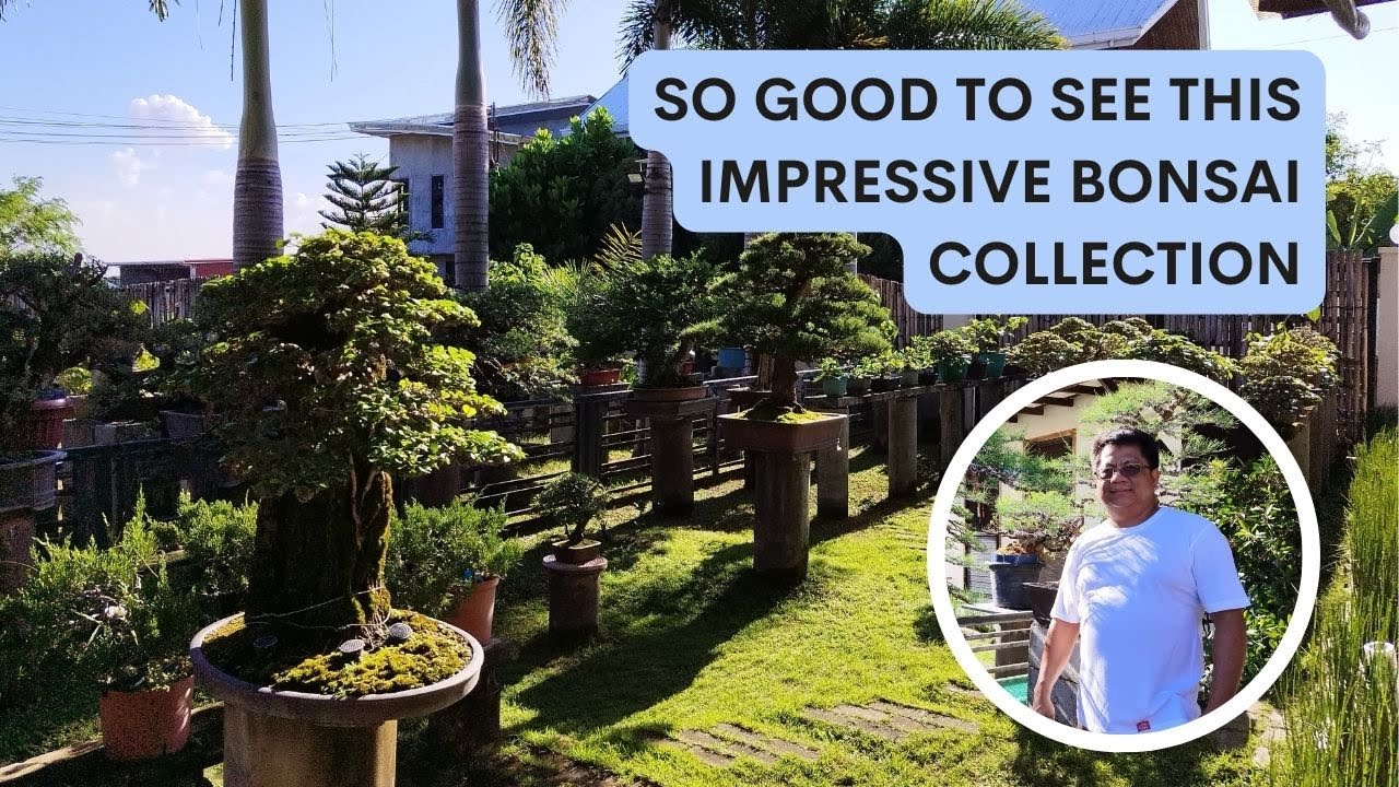 Bonsai Garden Visit #44 - At Ravenal Mendoza's Place Part #1 [w/ English Subtitles]