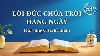 Lời Đức Chúa Trời hằng ngày: Lối vào sự sống | Trích đoạn 539