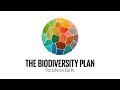 1 year in review of the kunmingmontreal global biodiversity framework