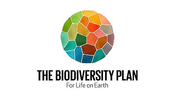 1 year in review of the Kunming-Montreal Global Biodiversity Framework.