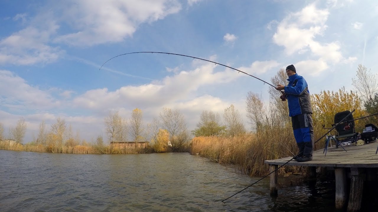 Feederezés nagy pontyokhoz igazítva