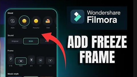 How to Add Freeze Frame in Filmora 2025?