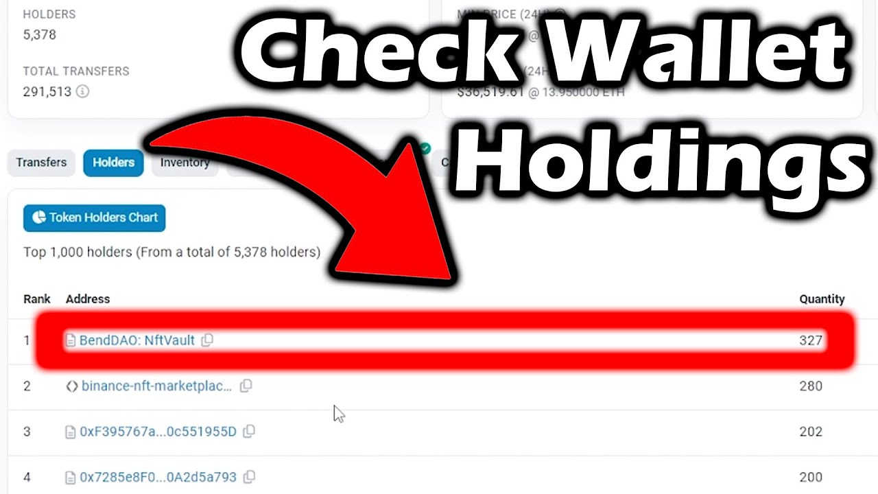 How to Check Crypto Wallet Holdings | Which wallet hold the most tokens for  project