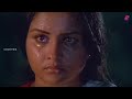 അപ്പം തിന്നാപ്പോരേ കുഴി എണ്ണുന്നത് എന്തിനാ... | Mammootty Movie Scene | Nyayavidhi