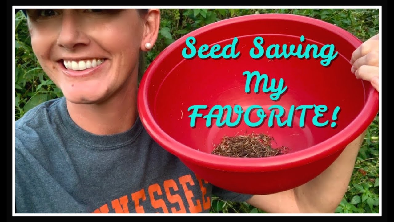 Saving My Favorite! Saving My Favorite!