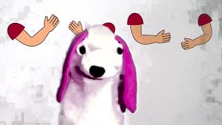 Baby Einstein Head To Toe With Pavlov Elbow Puppet Show