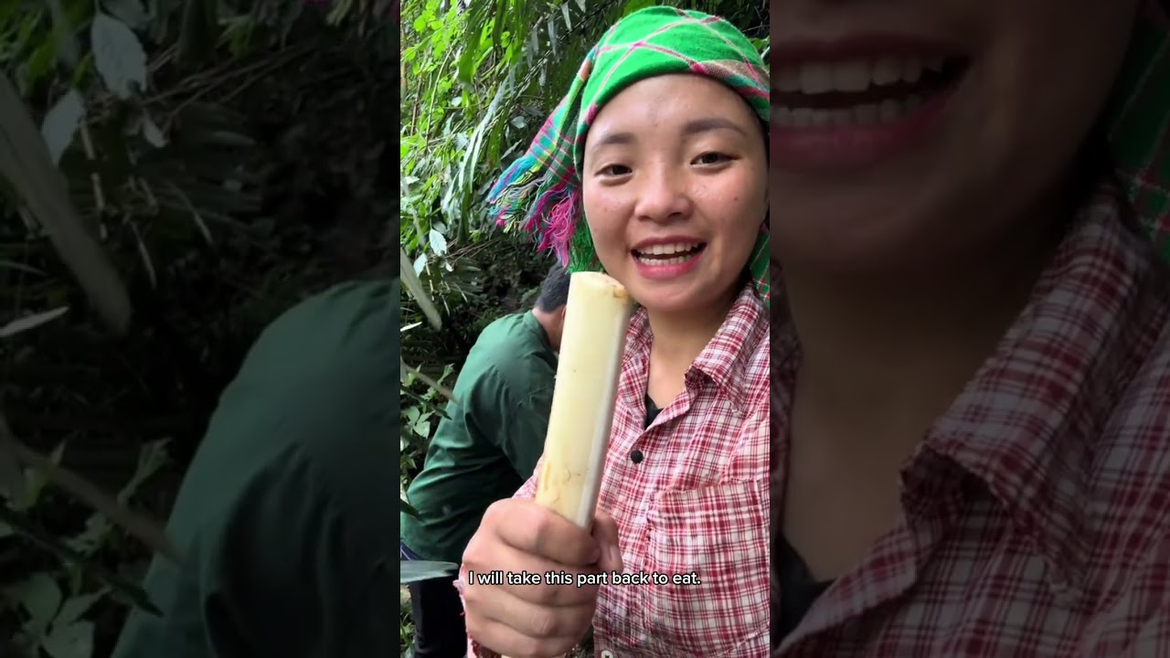 Into the Wild - Searching for Bamboo Shoots! 🔥