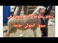 دخلو تشوفوا أخير يومين في سوق الحولي سيدي دريس حرارين طنجة قبل العيد 