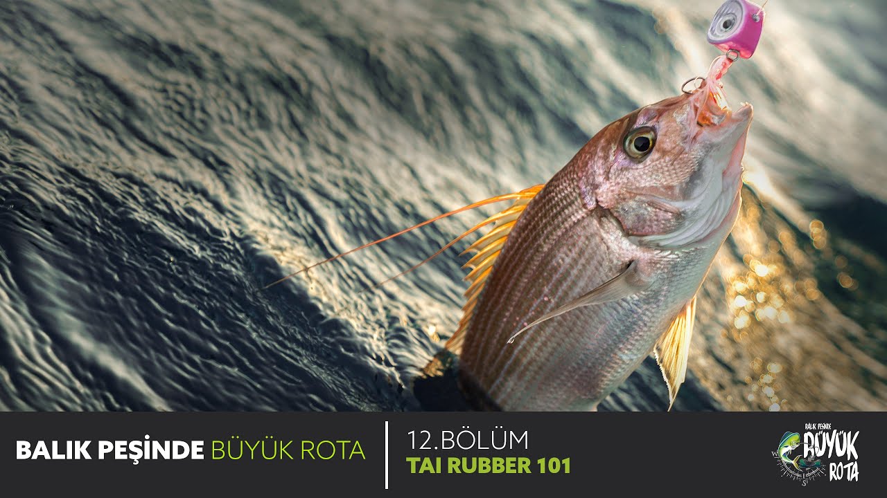 Balık Peşinde Büyük Rota - 12. Bölüm TAI RUBBER SİSTEMİNE GİRİŞ