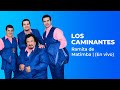 Los Caminantes - Ramita de Matimba ( En Vivo) | 2020