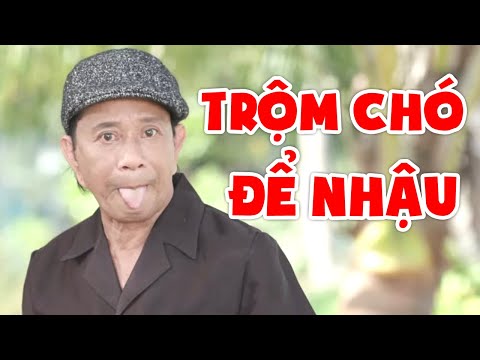 Video: Men Bút Thư Khiếu Nại Vui Nhộn Sau Khi Nổ Có Thể Của Chó Ruins Thực Phẩm Nhà Bếp Của Mình