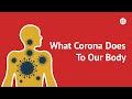 What Coronavirus Actually Does To Your Body