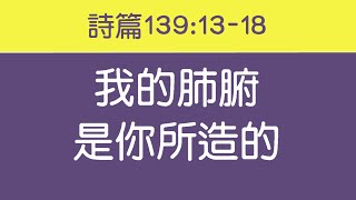 Vignette de la vidéo "[ 詩篇139篇13-18節 ] 我的肺腑是你所造的 生命水河詩歌 經文詩歌 敬拜讚美詩歌"