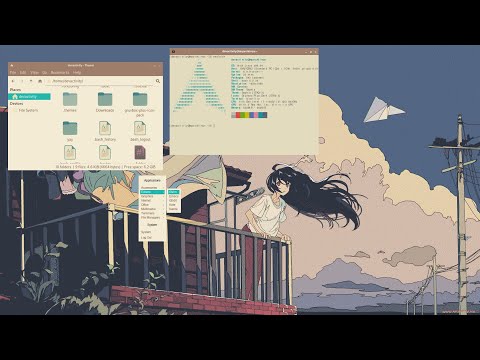 Ricing Linux a.k.a