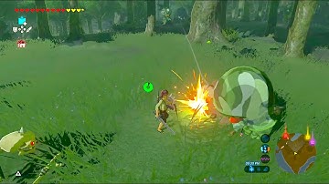 Octorok KILLS Another Octorok in Breath of the Wild