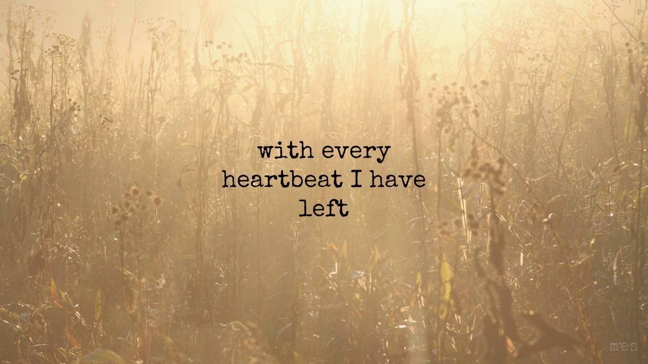 Light | Sleeping At Last | Lyrics ☾☀ - YouTube