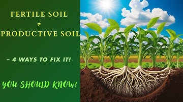 🌱 Soil Fertility vs Soil Productivity | Plant Growth vs Plant Development