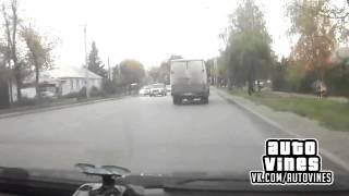 Auto Vines №96
