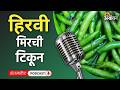 Cotton, Soybean Rate : सोयाबीन, कापूस, हिरवी मिरची, जांभूळ आणि टोमॅटो बाजारभाव| Agrowon