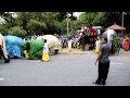 Elephants leaving Victoria Park to participate in the 33rd Navam Perahera at Gangaramaya temple