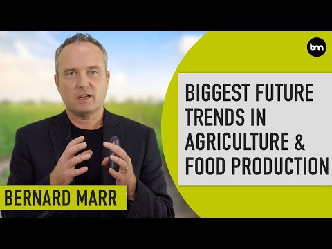 Video: Výroba potravin: negativní trend v dubnu, -8,1 %