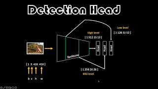 Detection Head | Essentials of Object Detection
