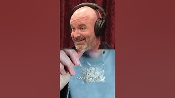 The Most Addictive Drug Ever - Joe Rogan, Tom Segura #shorts #jre