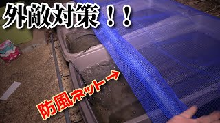 メダカを守る！超簡単、低予算で出来る天敵/外敵対策ネット