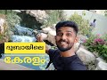 ദുബായിലൊരു കൊച്ചു കേരളം || AL BARARI || TRAVEL WITH ZUBAIR