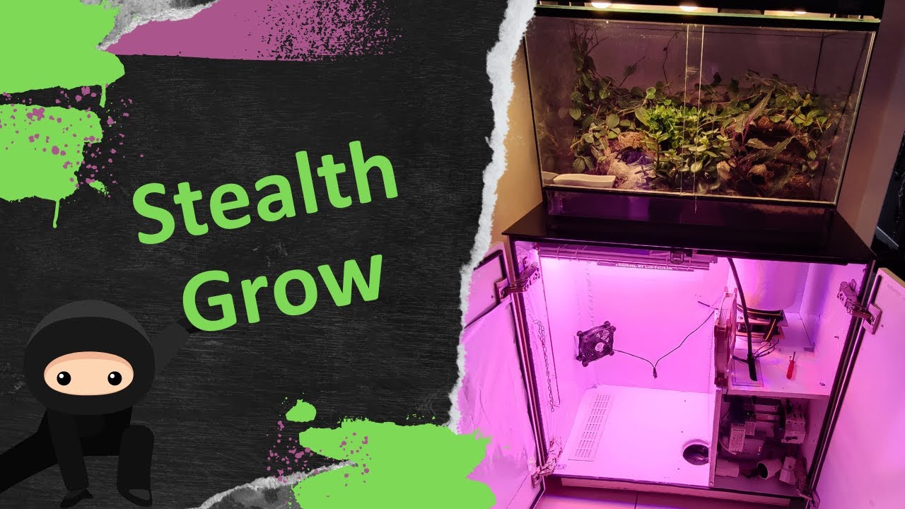 Wir bauen ein geheimes Grow-Schränkchen