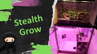 We build a secret grow cabinet