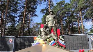 картинка: Тогучин удивляет