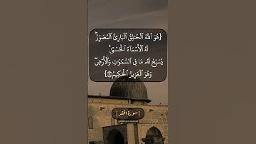 سورة الحشر الآية ٢٤ بصوت الشيخ محمد صديق المنشاوي