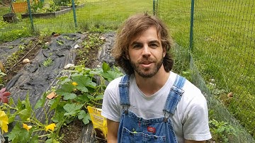 How to Remove Voles From Your Garden