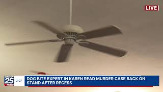 WATCH LIVE: Dog bite expert in Karen Read murder case back on stand after recess.