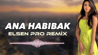 Elsen Pro - Ana Law Habebak | New Arabic Song 2023 | Elsen Pro Remix Song 2023 Resimi