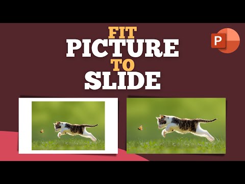 #1 How to #fit #picture to #slide quickly in #powerpoint #shorts Mới Nhất