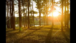 Mike Gettman Celebration of Life Memorial Service